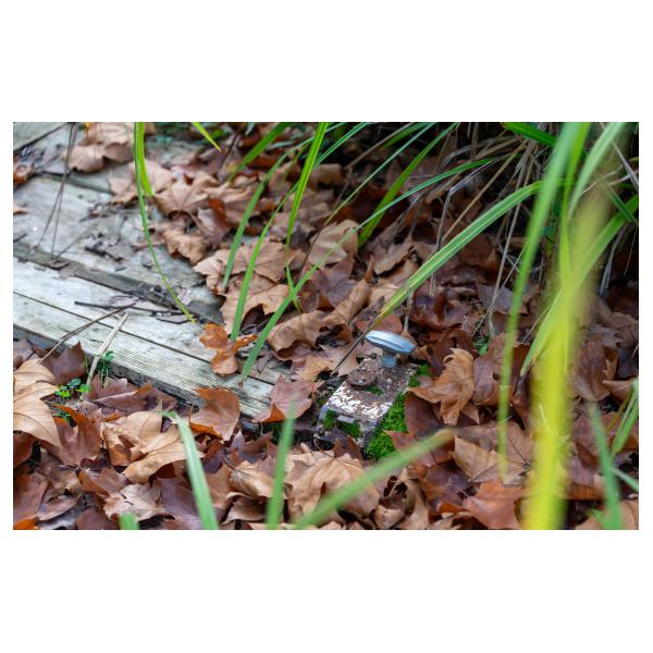 PHOTO84, CLUB, 84 , LUBERON